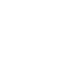 SSR icon 1-1