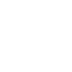 SSR icon 2-1