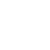 SSR icon 4-1