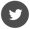 Twitter Icon